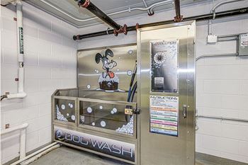 Pet wash center